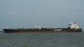 Storviken - Estuaire - 06 mai 2011 (03).JPG